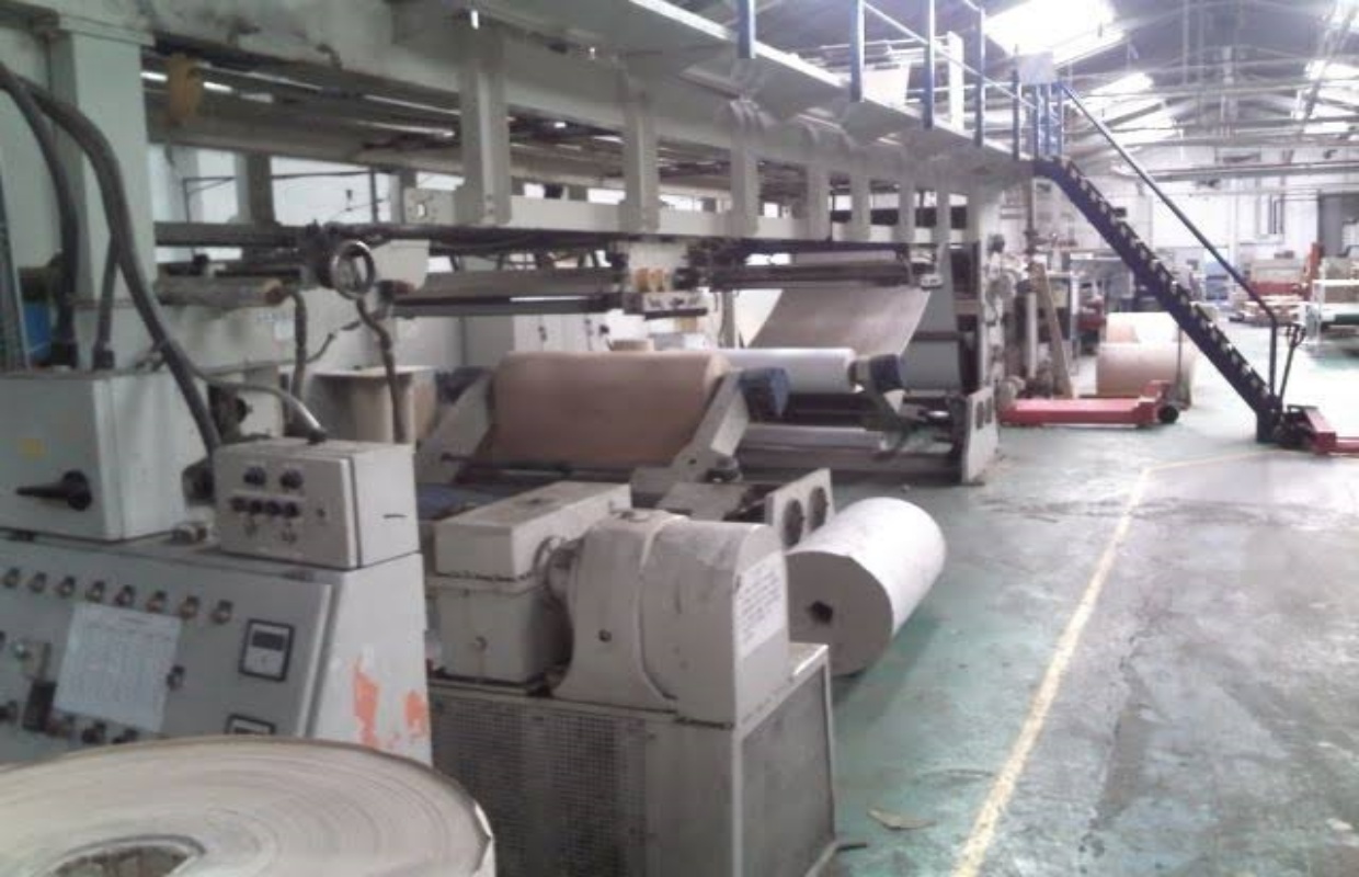 Corrugator